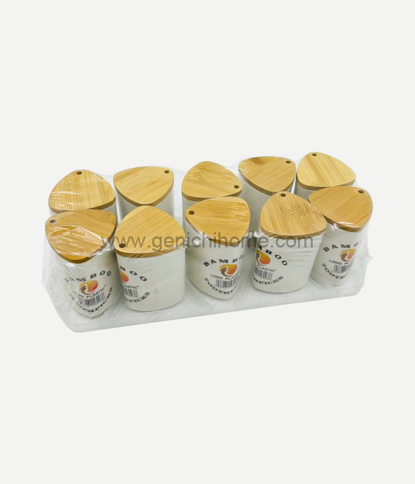 Bamboo Toothpick Bamboo Lid